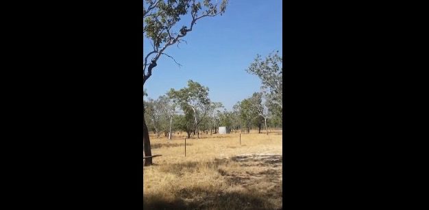 Strange sounds in Australia