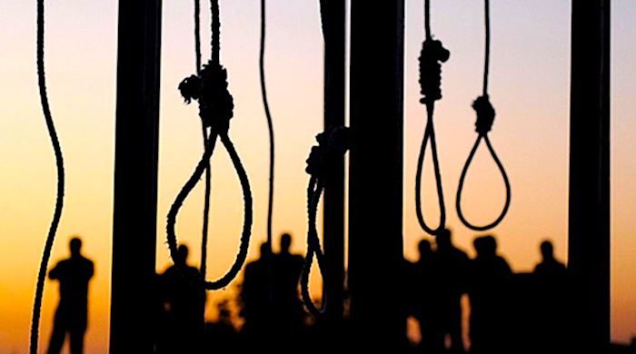 nooses