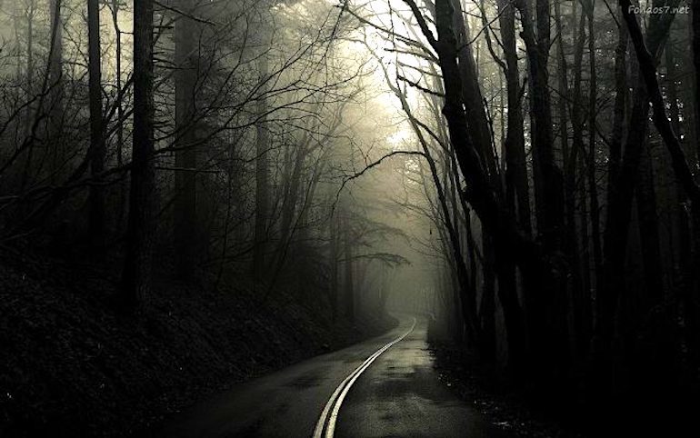 road woods