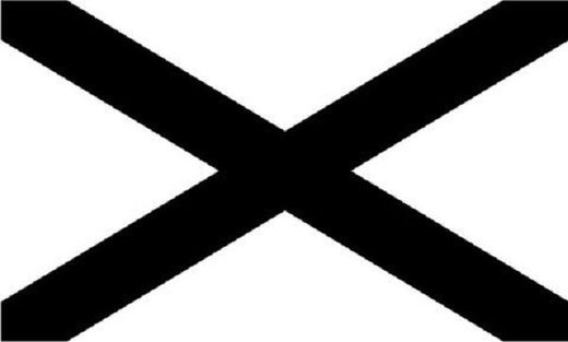 Click to enlarge League of the South flag