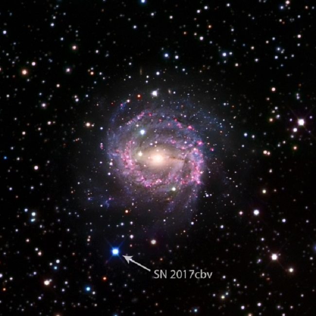 Supernova SN 2017