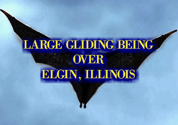 gliding being