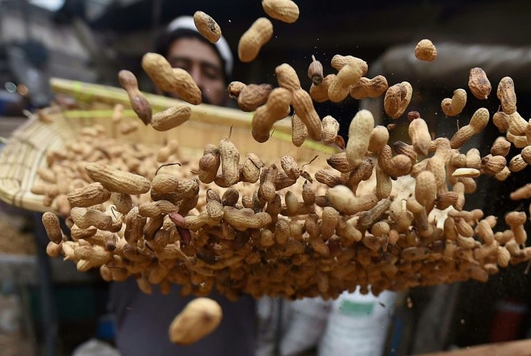Peanuts