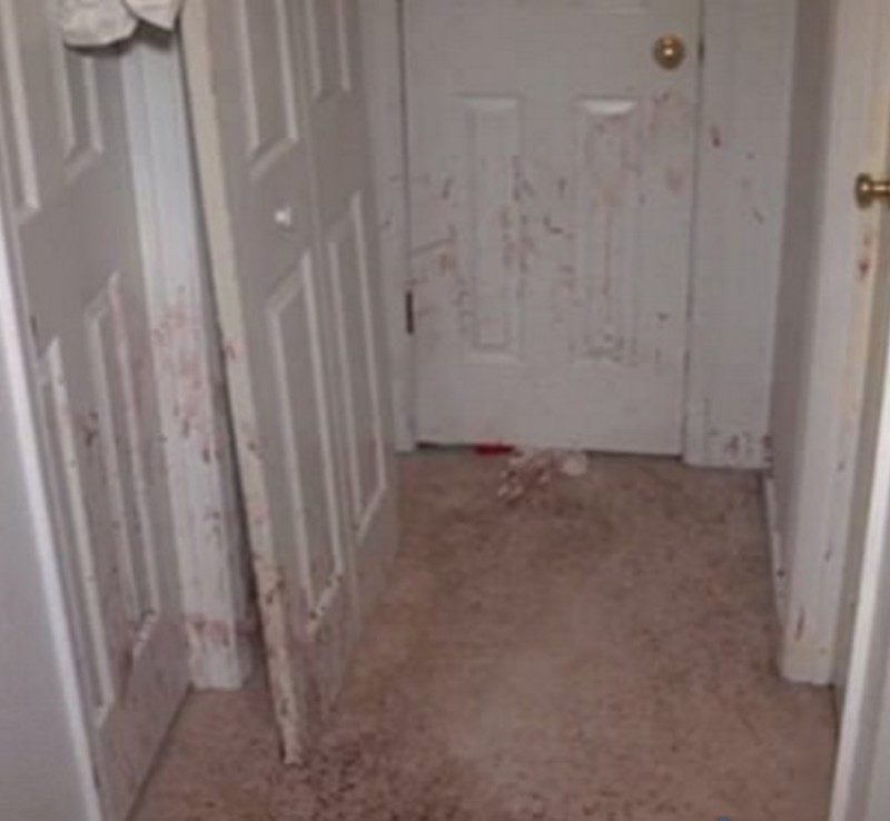 blood stains family dog attacks intruder Richmond VA