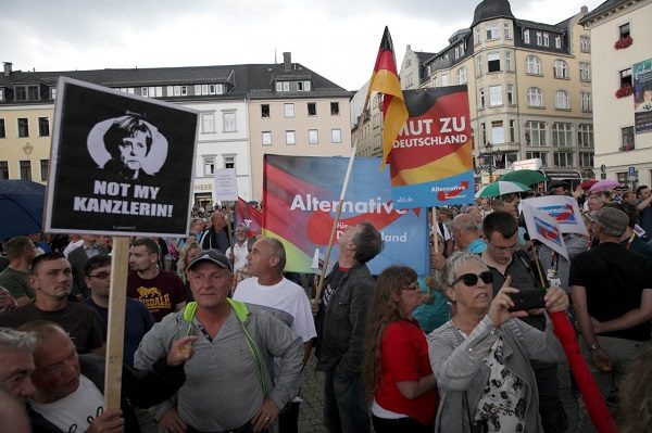 Alternative for Germany party supporters protest