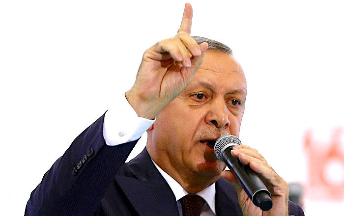 Erdogan finger