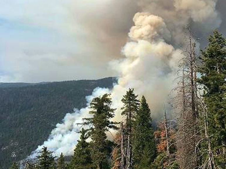 Click to enlarge Fire_wawona