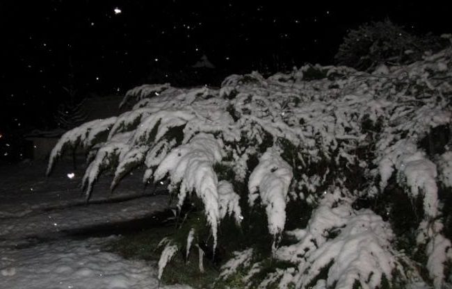 Denise Biggs was met with a blanket of snow as she woke up in the Eastern Cape this morning