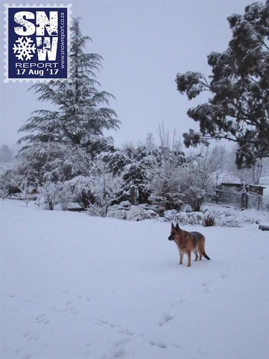 SNOW