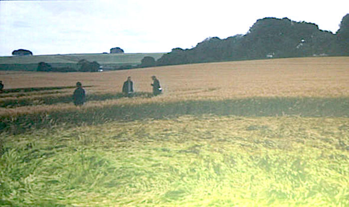 Researchers in field