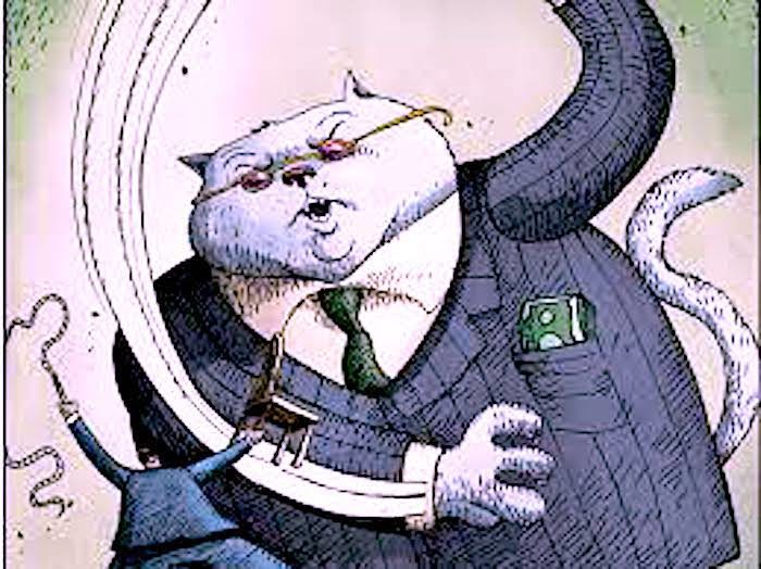 Click to enlarge Fat Cat