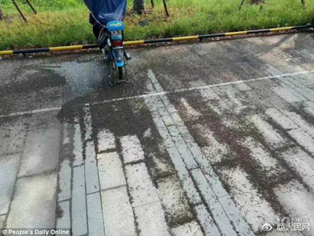 Click to enlarge The millipedes were spotted outside a subway station exit on August 7 in Hangzhou, China