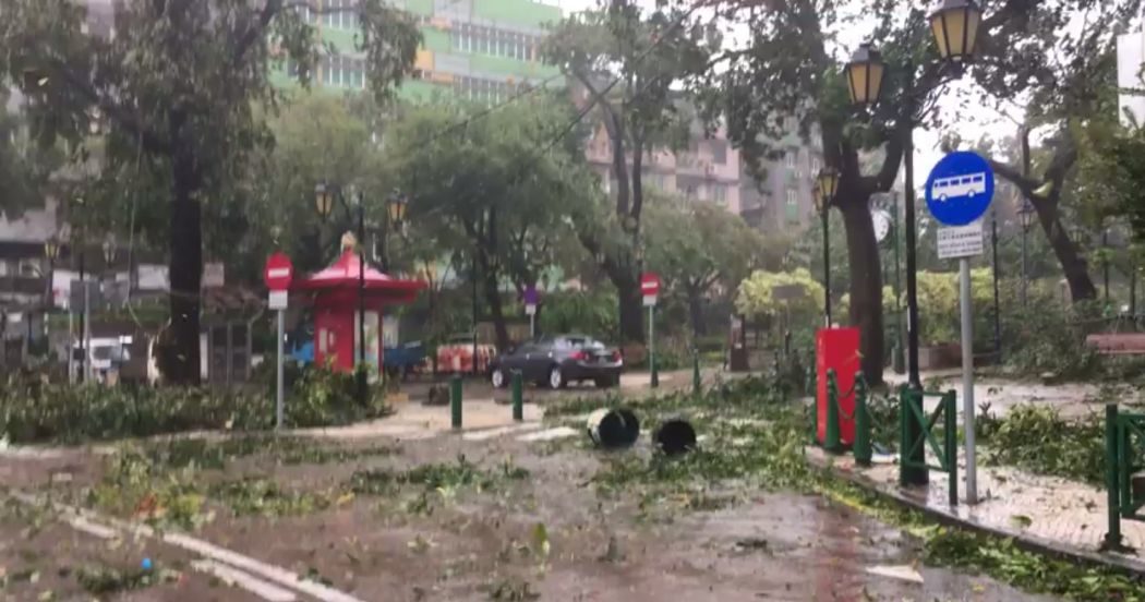 TREE DAMAGE