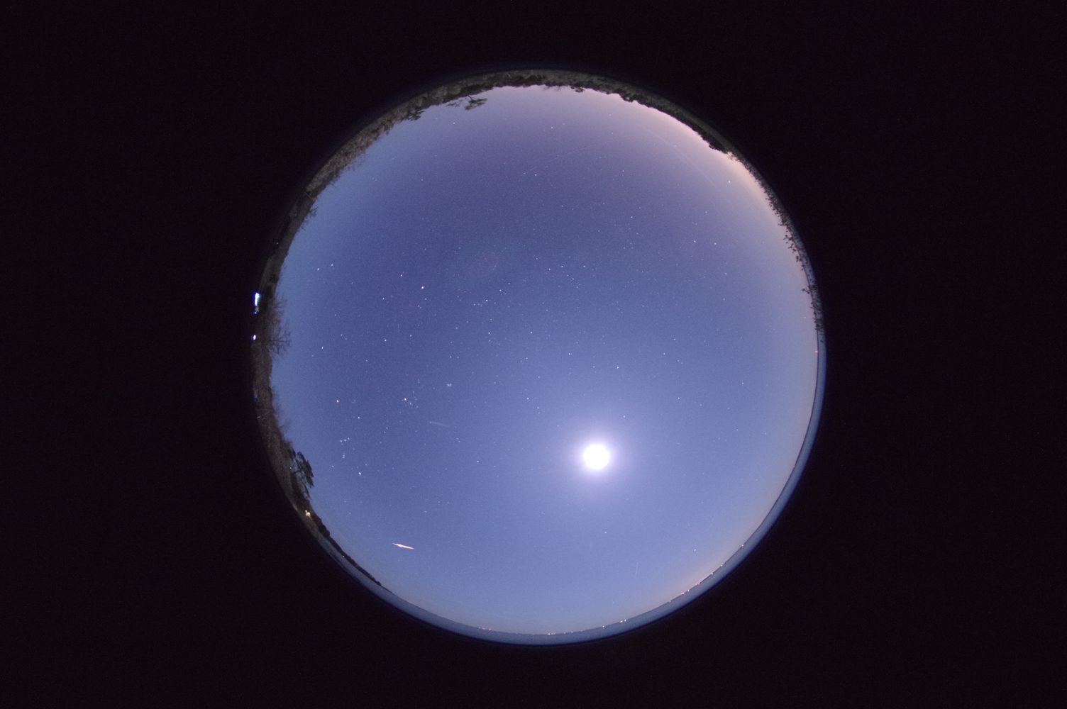 Phoenicid meteor shower