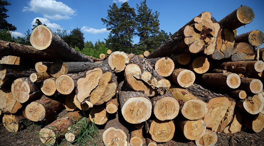 Lumber