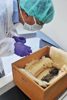 Click to enlarge tiny mummy