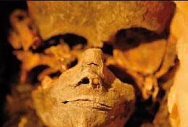 skeleton