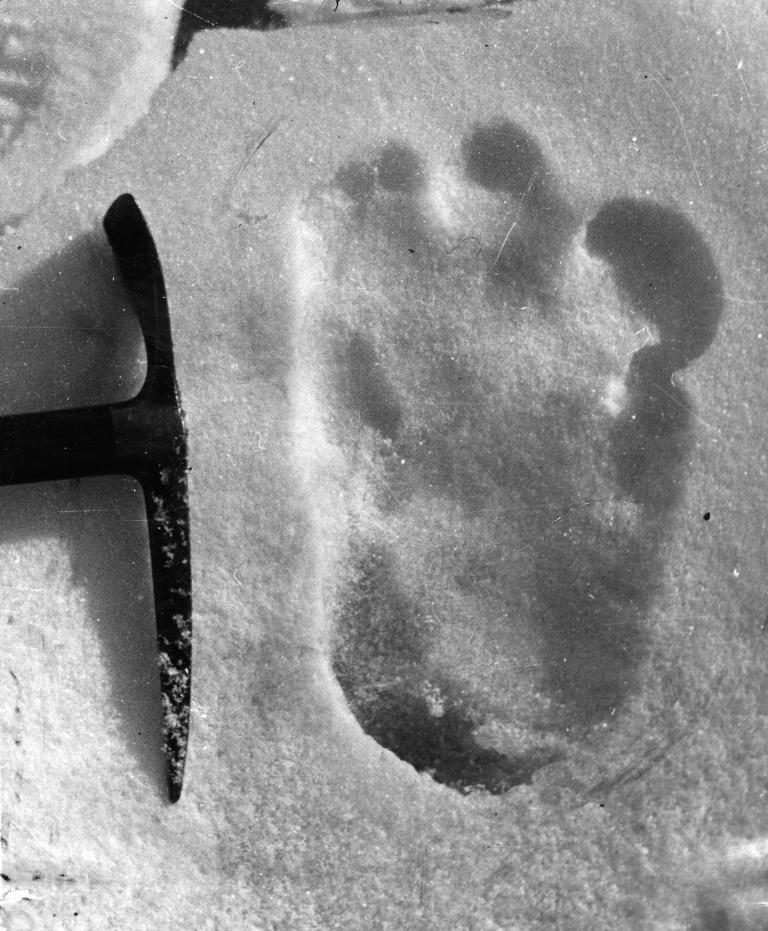 Click to enlarge Yeti footprint