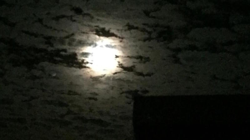 Bradbury UFOs