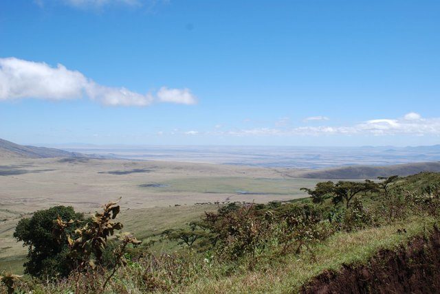 Click to enlarge Rift Valley