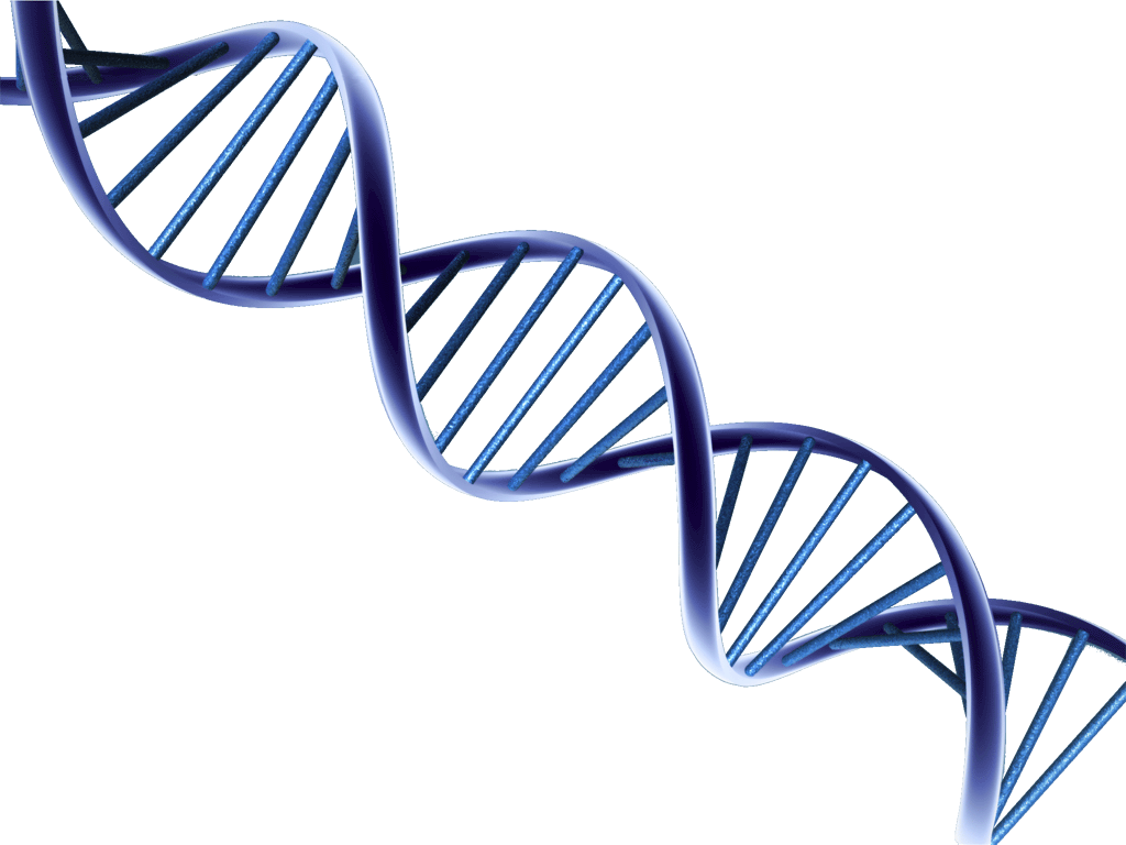 Click to enlarge DNA Design