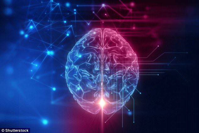 computer brain