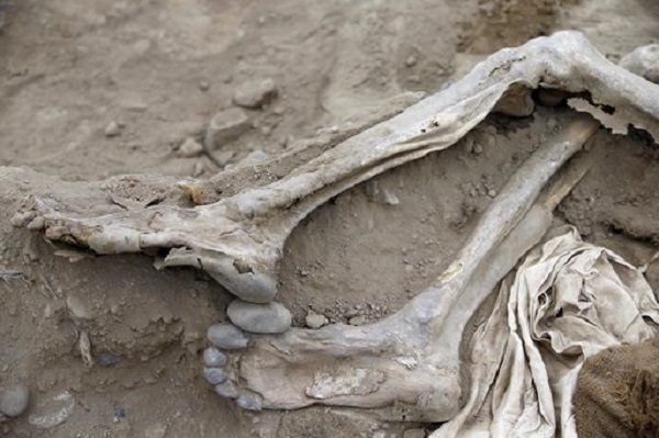 remains of one of the recently discovered 19th century Chinese immigrants