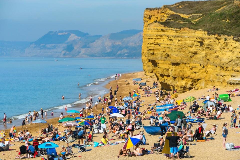 Click to enlarge Hive beach sunbathers