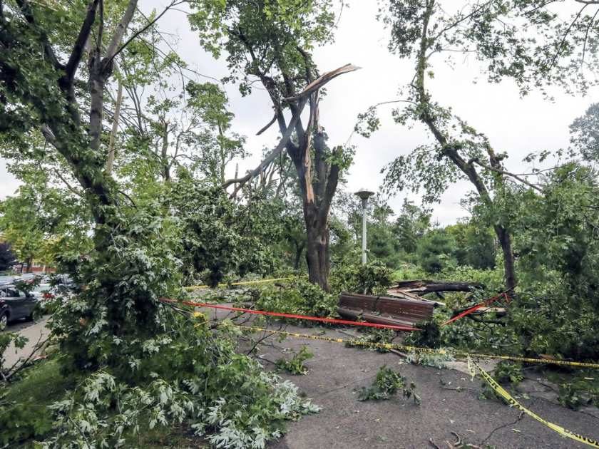 Click to enlarge Damage in N.D.G. Park following microburst rain storm