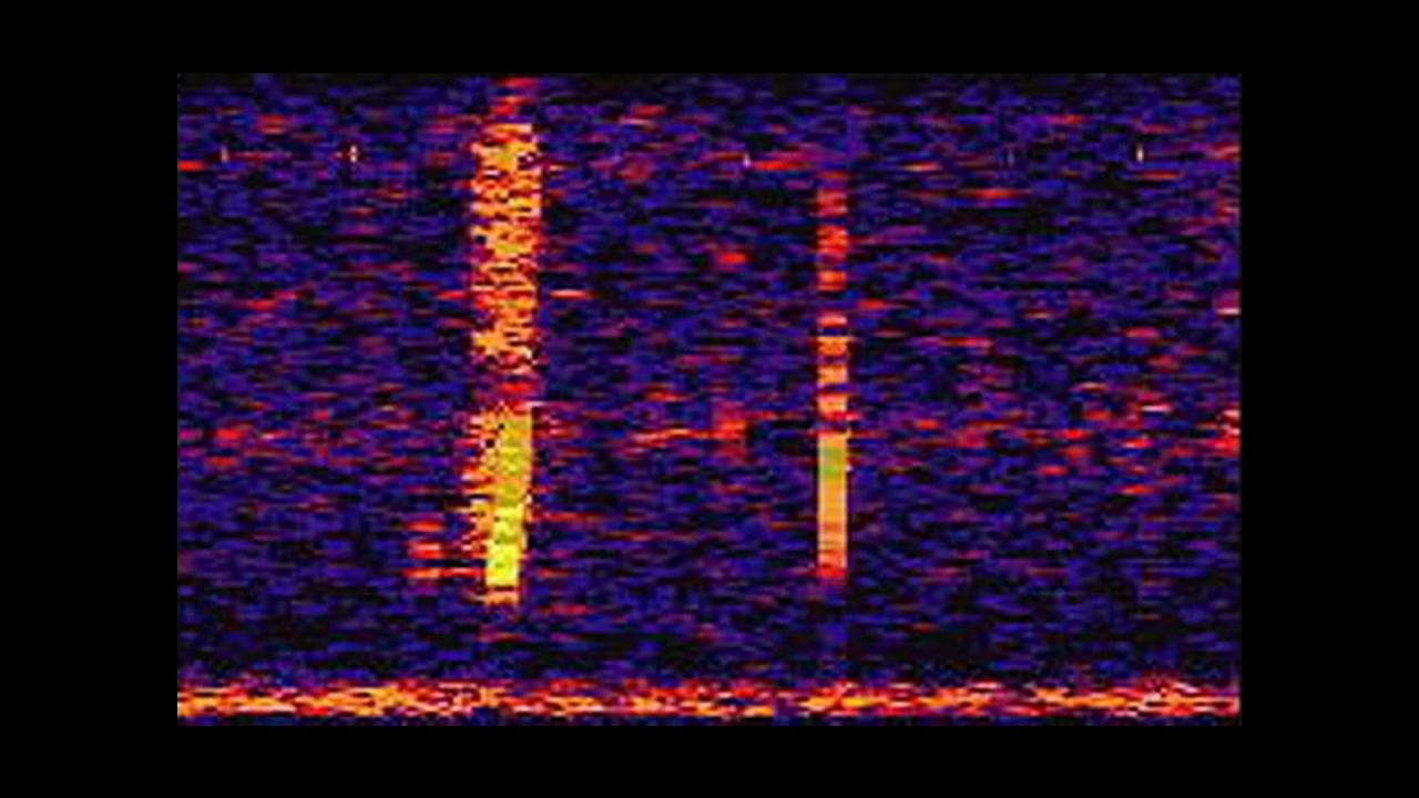strange sounds