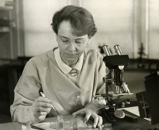 rosalind franklin
