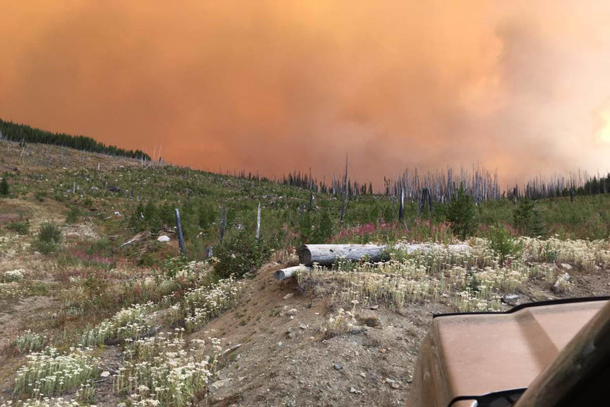 Diamond Creek Fire