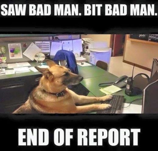 Click to enlarge Dog reporting