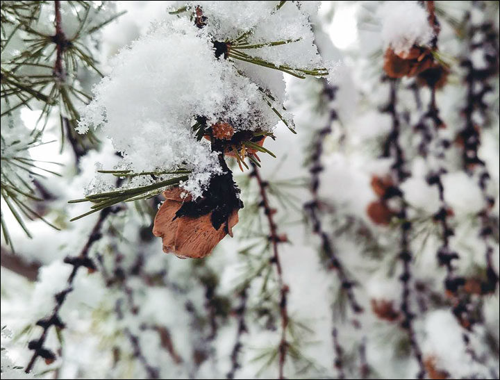 Click to enlarge snow Russia