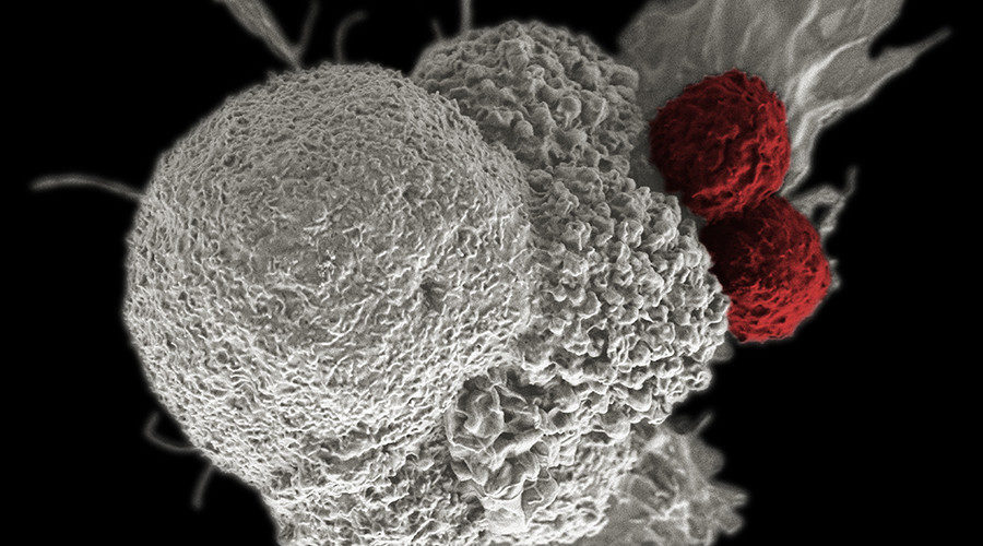 Click to enlarge cancer cells