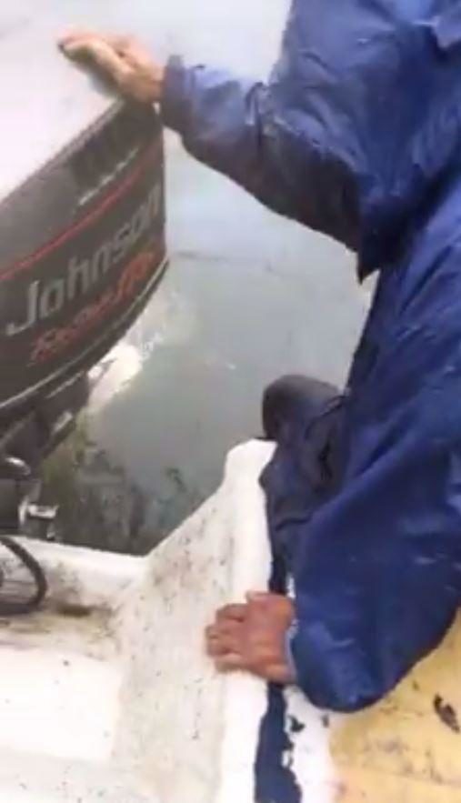 Gaelon Phillips rescues flook victims Hurrican Harvey
