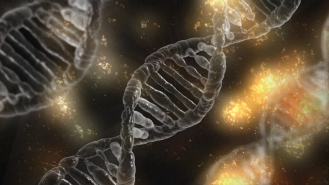 Chromosomes