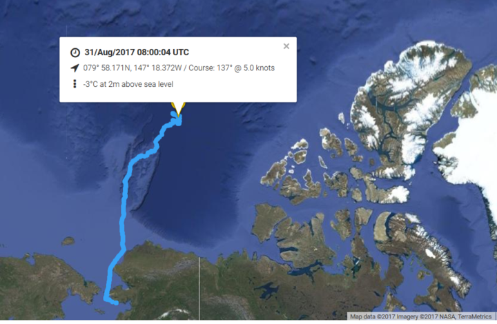 Click to enlarge arctic snow