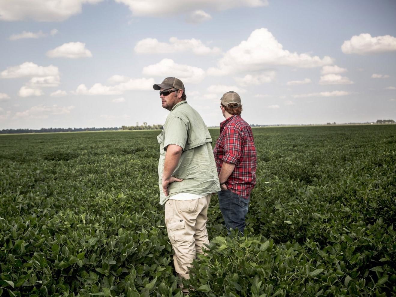 Click to enlarge farmers