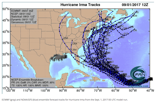 irma hoaa tracks