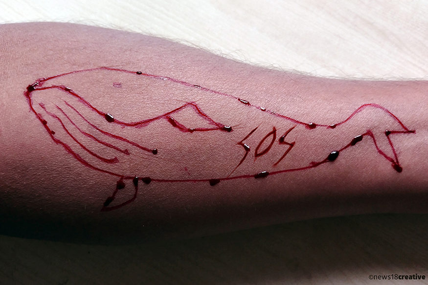 Click to enlarge Blue Whale deaths
