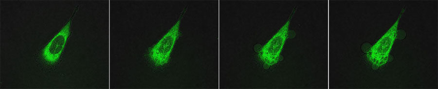 Click to enlarge Nanobots