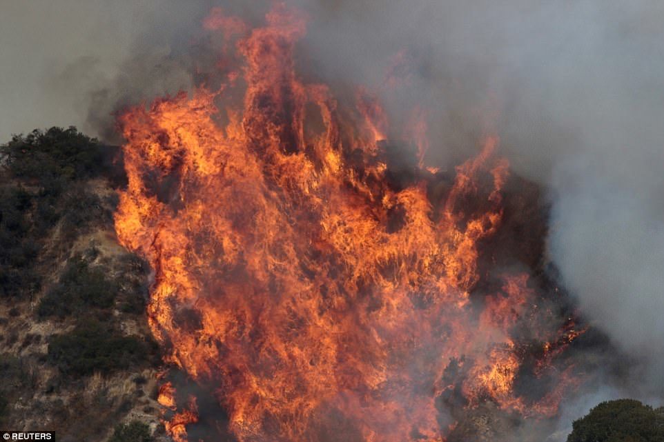 Click to enlarge he La Tuna Fire rages in Burbank as flames eat through brush and trees on a hillslope