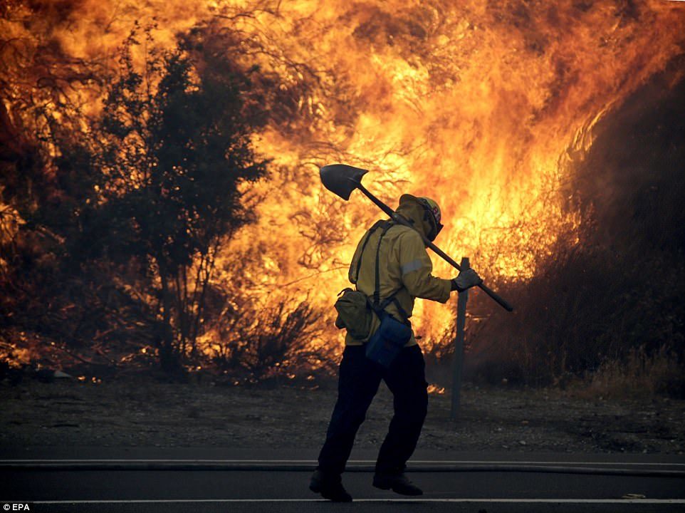 Click to enlarge A firefighter gets into position to battle the LaTuna fire burning alongside the 210 freeway in Sunland on Saturday