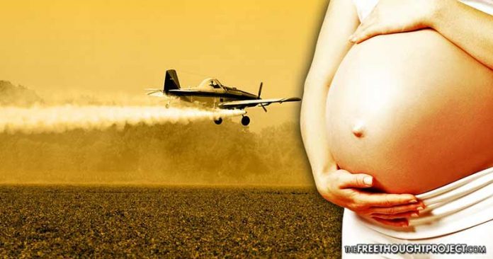 Click to enlarge pregnant woman crop duster