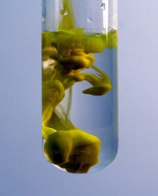 vaccine adjuvants