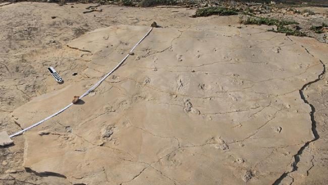 Click to enlarge human footprints