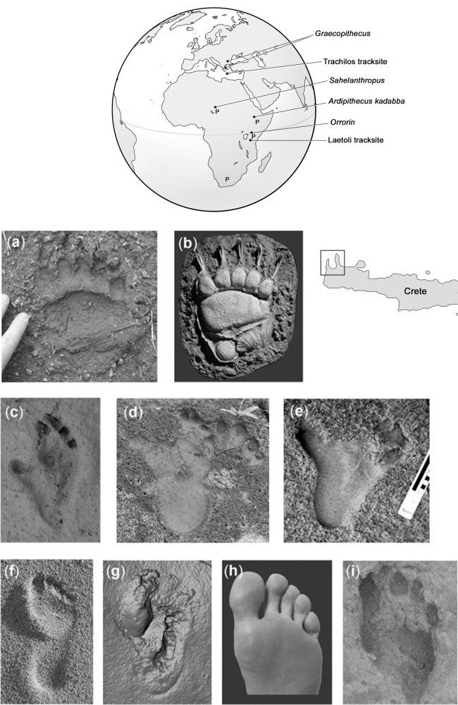 Click to enlarge footprints
