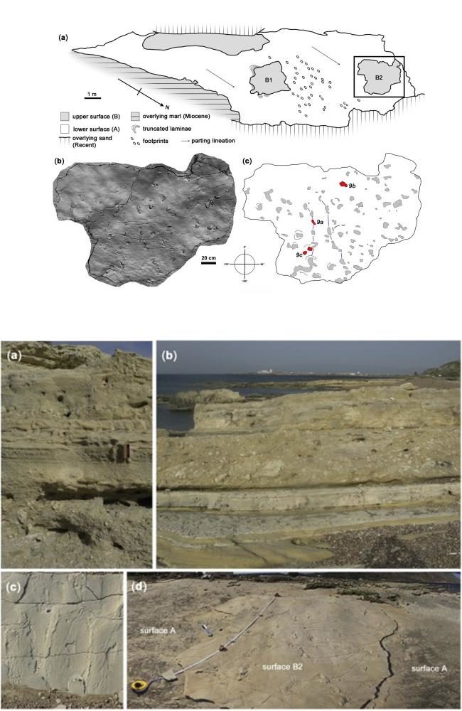 Click to enlarge archeological map