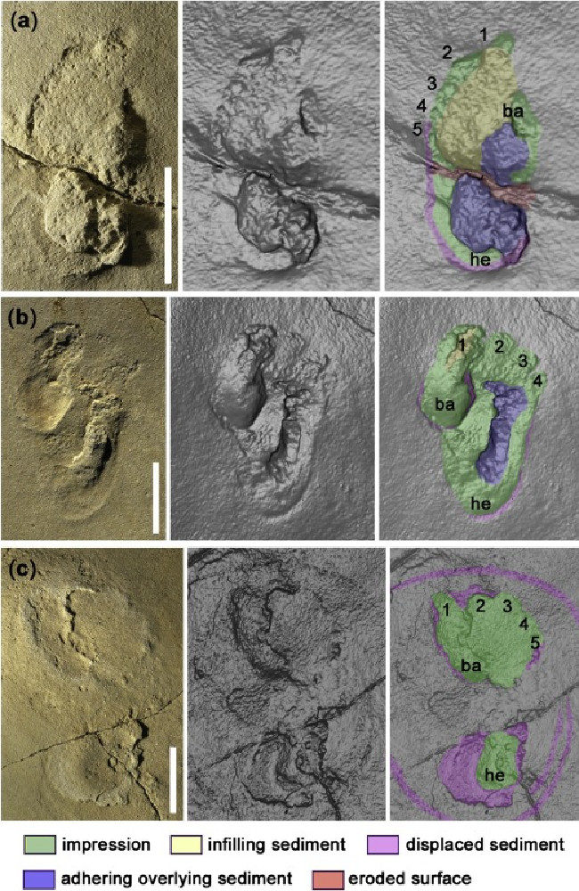 Click to enlarge footprints